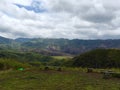 Dzukou Valley, Nagaland, Northeast India. The Dzukou Valley is located at the border of the states of Nagaland and Manipur