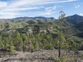 Green hills and forest mountains, landscape of Tamadaba natural park. Gran Canaria, Canary Islands, Spain Royalty Free Stock Photo