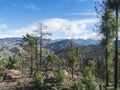 Green hills and forest mountains, landscape of Tamadaba natural park. Gran Canaria, Canary Islands, Spain Royalty Free Stock Photo