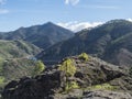 Green hills and forest mountains, landscape of Tamadaba natural park. Gran Canaria, Canary Islands, Spain Royalty Free Stock Photo