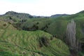 Green hills of the forgotten world highway, New Zealand Royalty Free Stock Photo