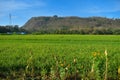 Green hills, green field, and blue sky