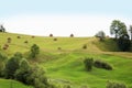 Green hills with haystacks. Picturesque rural landscape. Carpathian Mountains, Ukraine Royalty Free Stock Photo