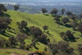 A Green hills at Huon hill lookout Bandiana, Victoria, Australia.