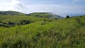 Green hills scenery at Mayo-Ndaga in Nigeria
