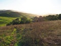 Green Hills of Sonoma County Royalty Free Stock Photo