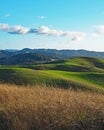 Green Hills of Sonoma County Royalty Free Stock Photo
