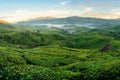 Green hills of tea plantations in Munnar Royalty Free Stock Photo