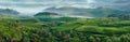 Green hills of tea plantations in Munnar Royalty Free Stock Photo