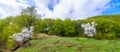 Green hills traditional landscape over cloudy sky on background. Hikers paradise in the countryside Romania. Royalty Free Stock Photo