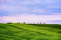 Green hills with trees on the top