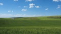 Green hills wallpaper, Wheatfield, Farming