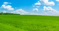 Green hillside under blue sky with beautiful clouds Royalty Free Stock Photo