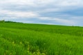 Green hillside under blue sky with beautiful clouds Royalty Free Stock Photo