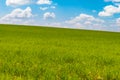 Green hillside under blue sky with beautiful clouds Royalty Free Stock Photo