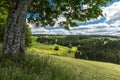 Black Forest landscape in Southern Germany Royalty Free Stock Photo