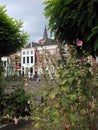 Green Historic city Utrecht, Netherlands