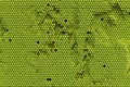 Green Hive Map like pixel background