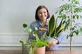Green hobby indoor houseplants, woman with plants in pots, female showing fertilizer sticks
