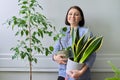 Green hobby indoor houseplants, woman with plants in pots