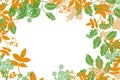 Holly leaves berries and fall leaves wreath border with open center for text