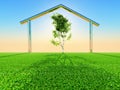 Green home Royalty Free Stock Photo