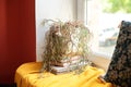 Houseplant potted on stack of books at house. Green home plant in pot on a windowsill in room. Cozy decor of the room.