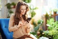 Smiling woman in sunny day using phone applications Royalty Free Stock Photo