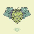 Green Hop Cone. Hop cone logo. Beer Cone Hop and Leaves Illustration. Royalty Free Stock Photo
