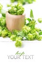 Green hop in wooden bowl over white background Royalty Free Stock Photo