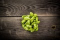 Green hops Royalty Free Stock Photo