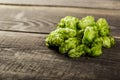 Green hops Royalty Free Stock Photo