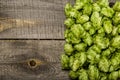 Green hops Royalty Free Stock Photo