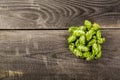 Green hops Royalty Free Stock Photo