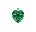 green hops fruit vector icon logo design on white background