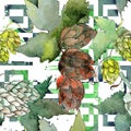 Green hops. Watercolor background illustration set. Seamless background pattern. Royalty Free Stock Photo