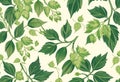 Green hops plant vines with leaves and cones on a light cream background seamless pattern Royalty Free Stock Photo