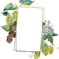 Green hops. Watercolor background illustration set. Frame border ornament square. Royalty Free Stock Photo