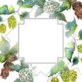 Green hops. Watercolor background illustration set. Frame border ornament square. Royalty Free Stock Photo