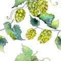 Green hops. Watercolor background illustration set. Seamless background pattern.