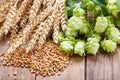 Green hops, wheat ears and grains on wooden table Royalty Free Stock Photo