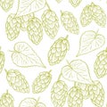 Green hops on white background seamless pattern, hand drawing. Royalty Free Stock Photo
