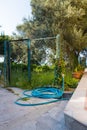 Green hose lies in the backyard near the garden with a mesh fence with big olive tree in the background