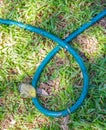 Hosepipe looped in a shape on a lawn Royalty Free Stock Photo