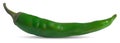 Green hot chili pepper Royalty Free Stock Photo