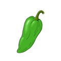 Green hot chili pepper, jalapeno.  Vector illustration Royalty Free Stock Photo