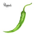 Green hot chili pepper watercolor isolated on white background