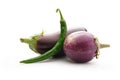 Green hot chilly pepper with two eggplants Royalty Free Stock Photo