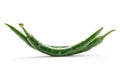 Green hot chilly pepper Royalty Free Stock Photo