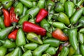 Green hot jalapeno chili peppers Royalty Free Stock Photo